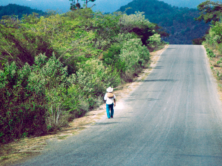 Imagen: L. Díaz