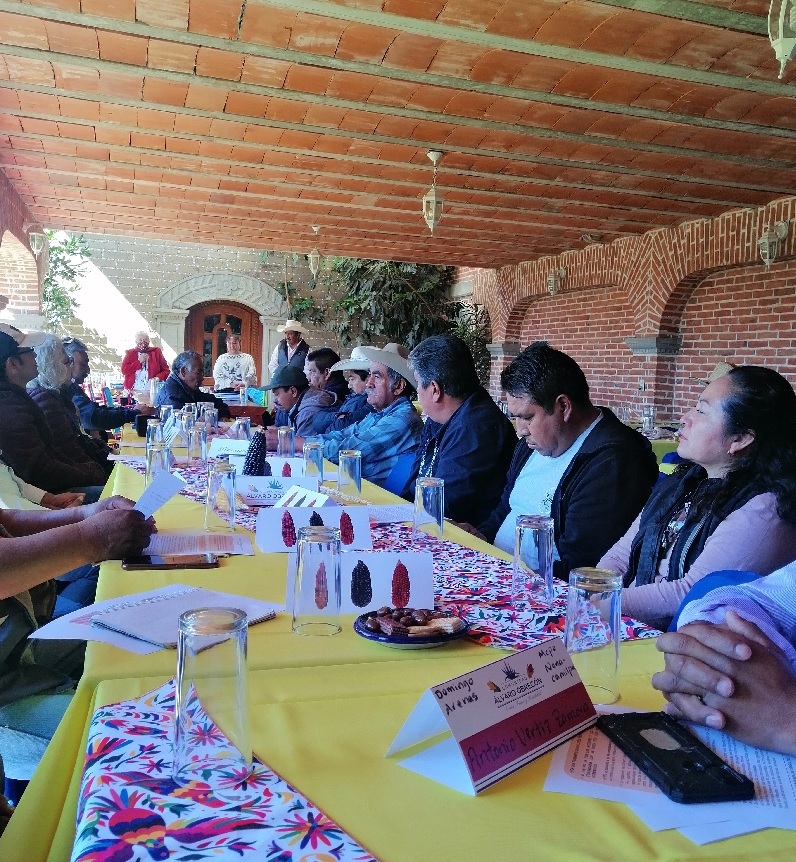 Imagen: "Mesa de trabajo. Foto de Parastoo Anita Mesri Hashemi-Dilmaghani