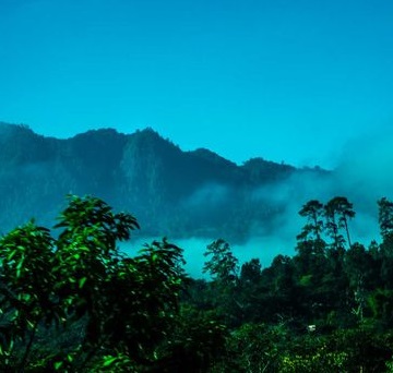 Imagen: Chiapas, selva húmeda. Fuente: Tumblr.