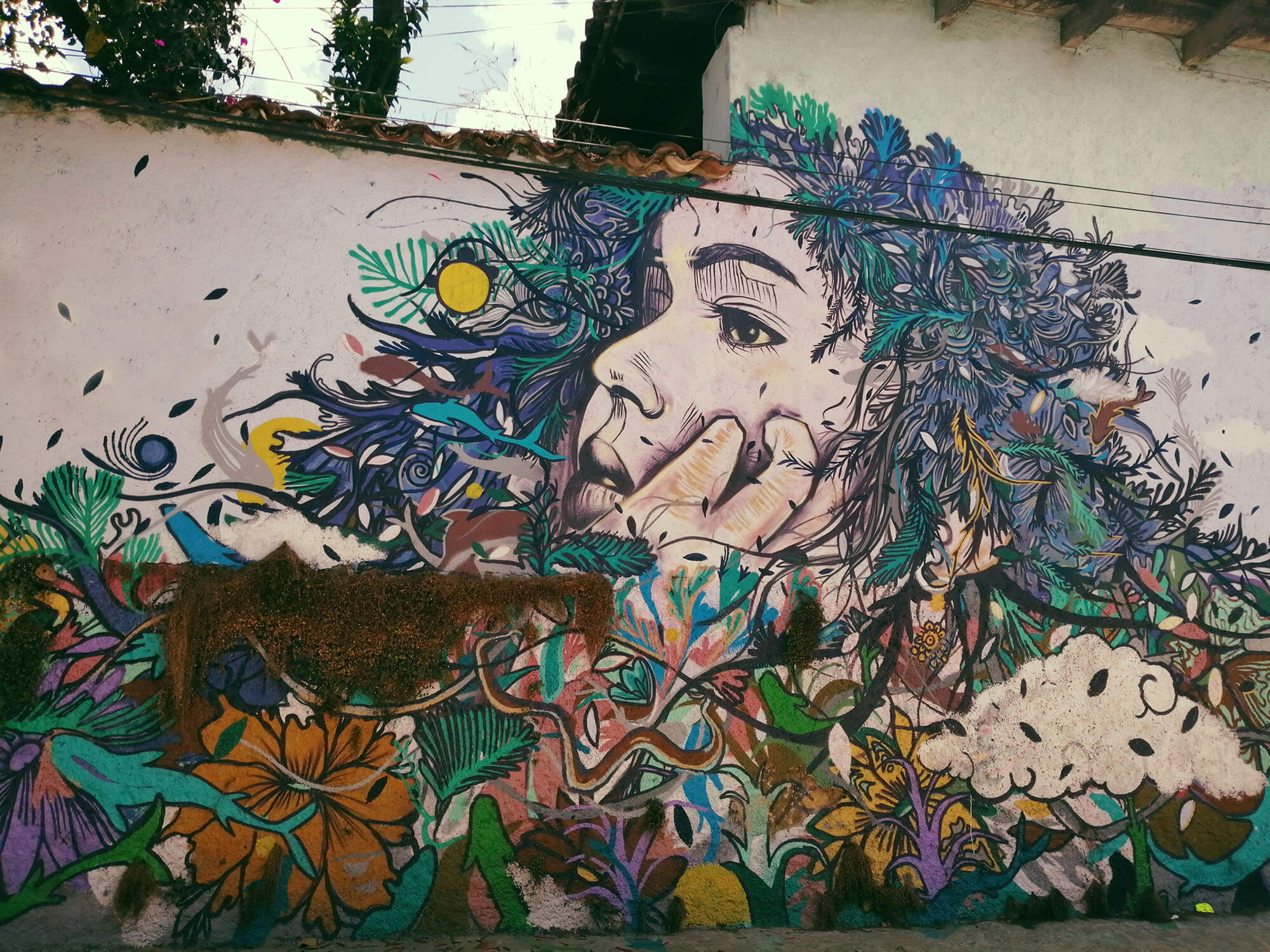 Imagen: Grafiti en San Cristóbal de Las Casas, autor desconocido. R. Jasso