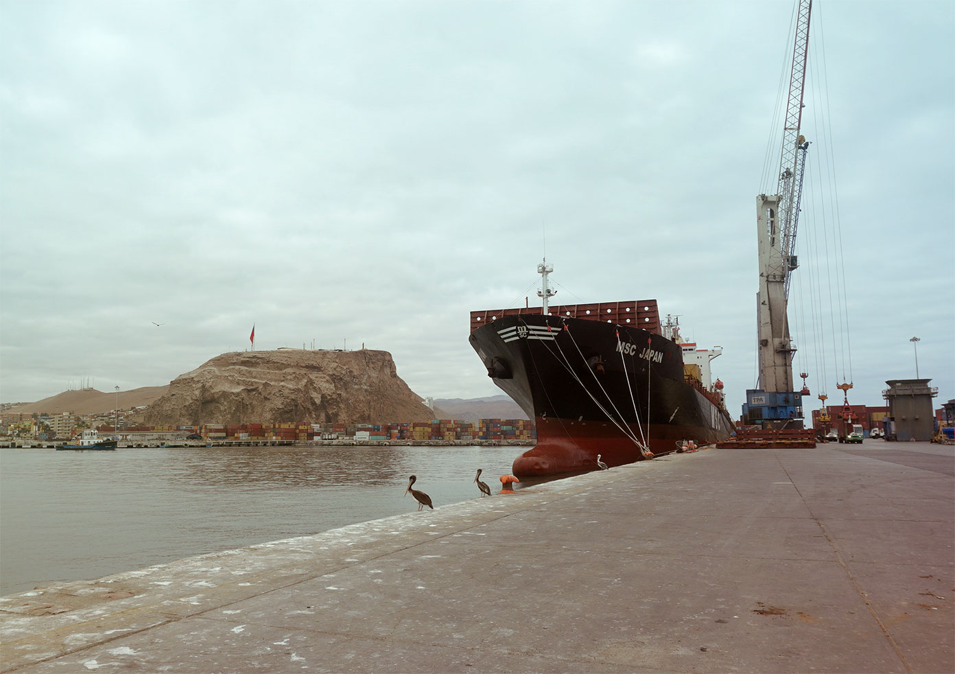 Imagen: Puerto de Arica, de H. Dilla