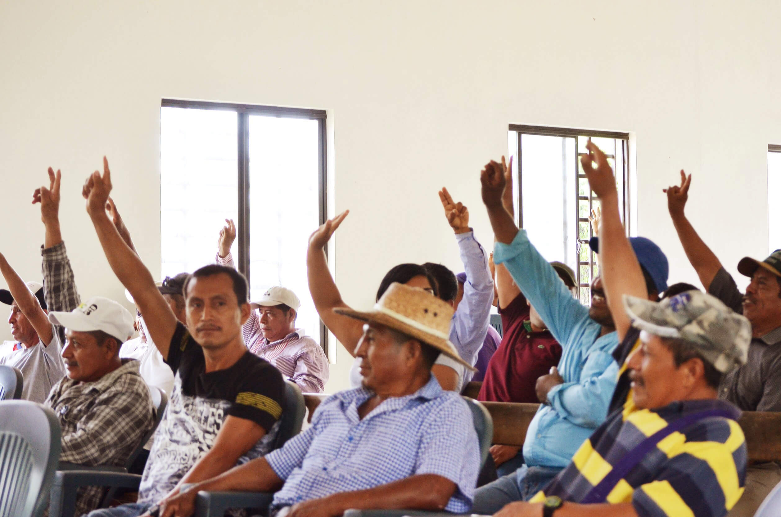 Imagen: Asamblea de la Alianza, de Annel Zepeda.